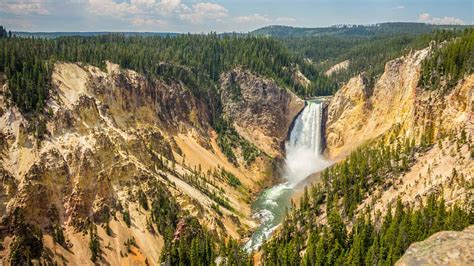 yellowstone guided tours review